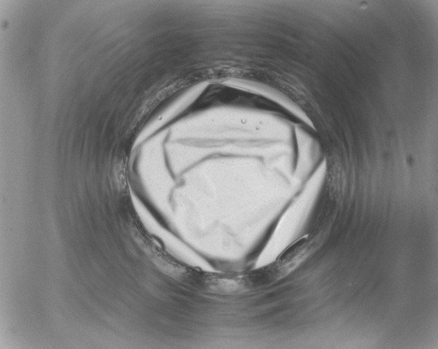 X0000054430285200508262355