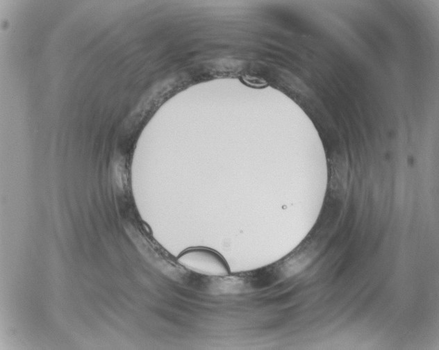 X0000054430287200508262355