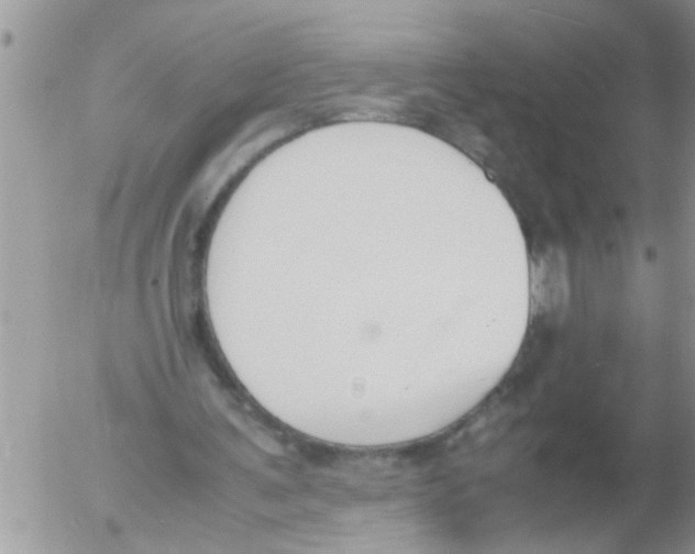 X0000054430291200508262354