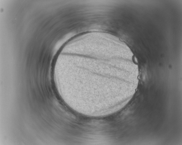 X0000054430292200508262354