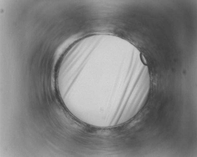 X0000054430294200508262354