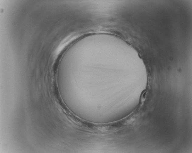 X0000054430295200508262354