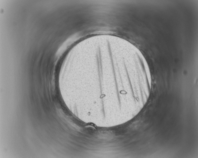 X0000054430296200508262354