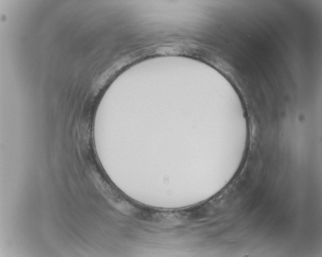 X0000054430297200508262354