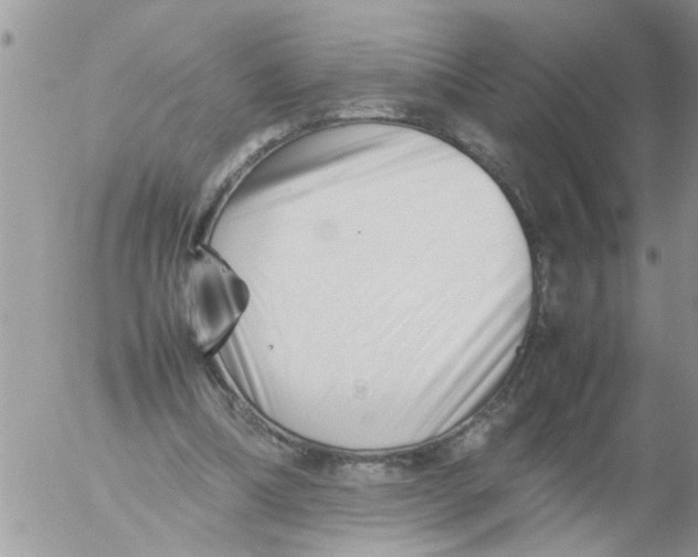 X0000054430298200508262354