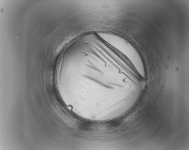 X0000054430299200508262354