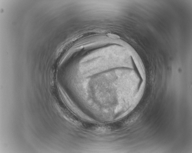 X0000054430303200508262354