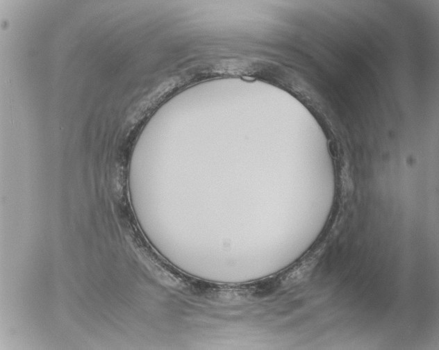 X0000054430305200508262354