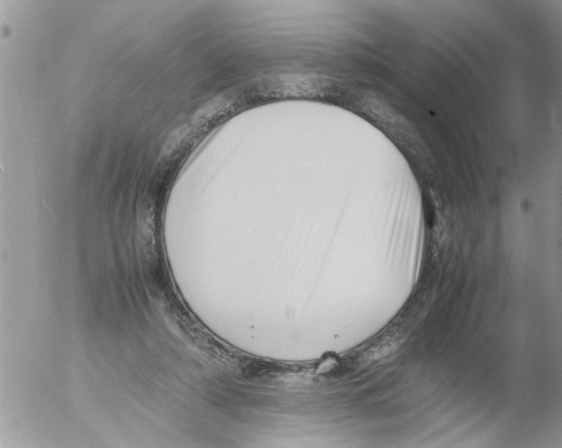 X0000054430306200508262354