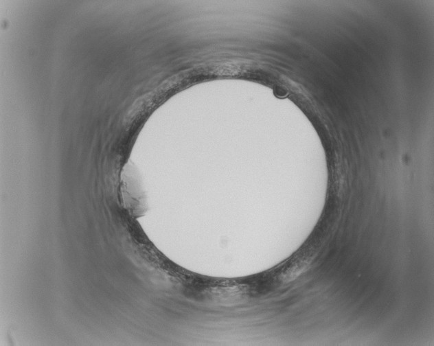 X0000054430307200508262354