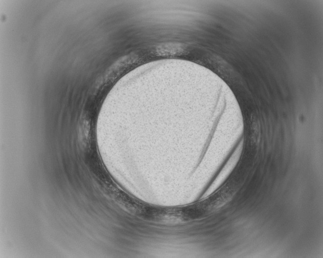 X0000054430308200508262354