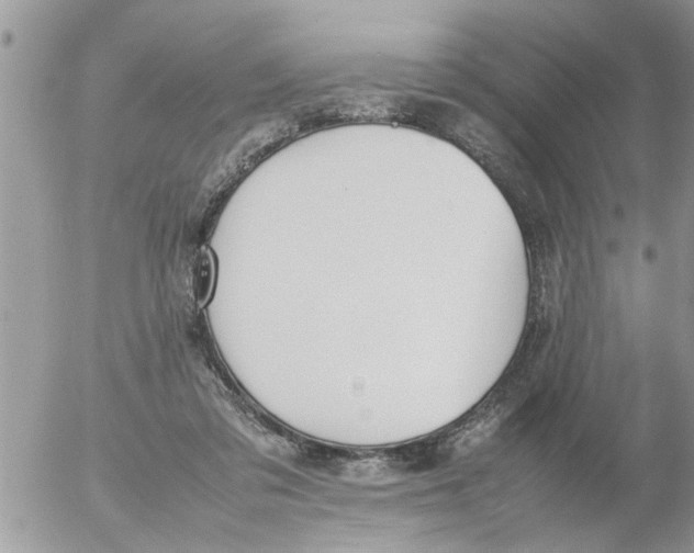 X0000054430309200508262354