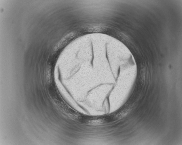 X0000054430312200508262354