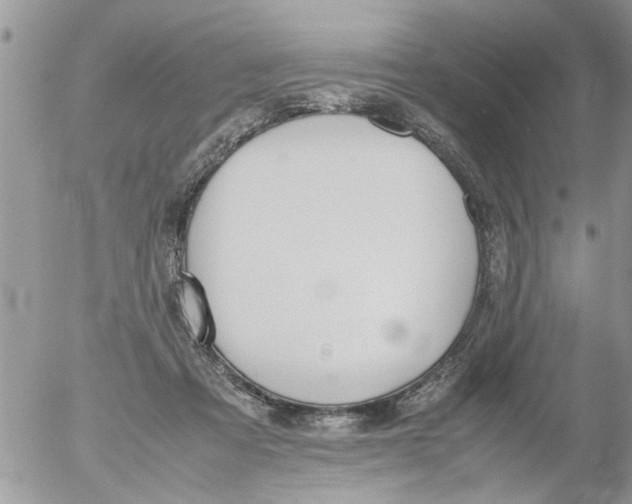 X0000054430313200508262354