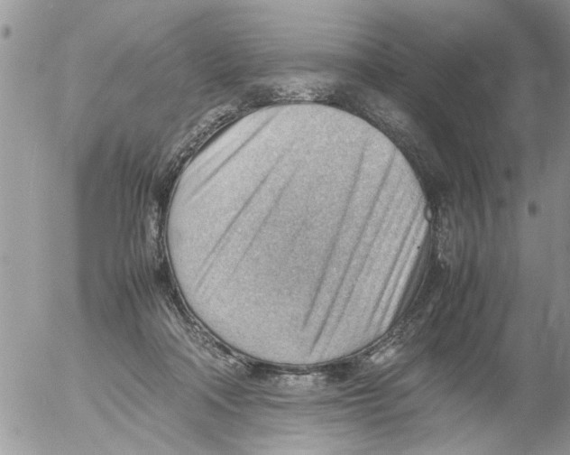 X0000054430314200508262354