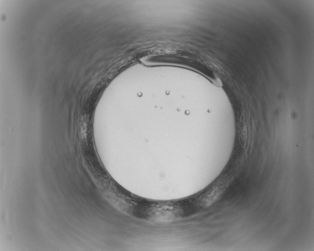 X0000054430315200508262354