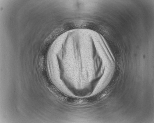 X0000054430319200508262354