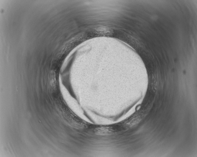 X0000054430320200508262354