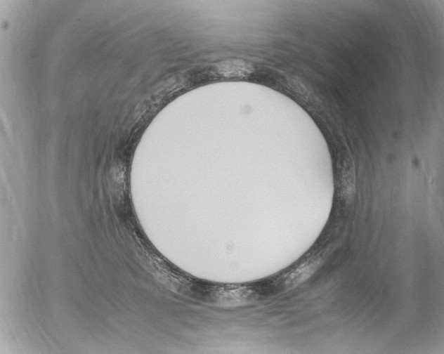 X0000054430321200508262354