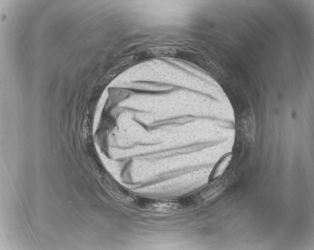 X0000054430323200508262354