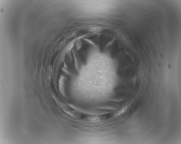 X0000054430325200508262354