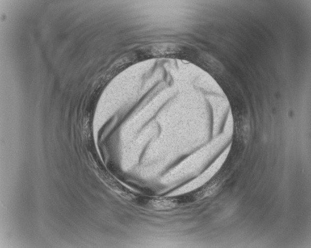 X0000054430327200508262354