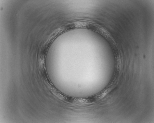 X0000054430329200508262354