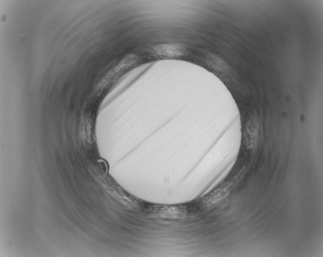 X0000054430330200508262354