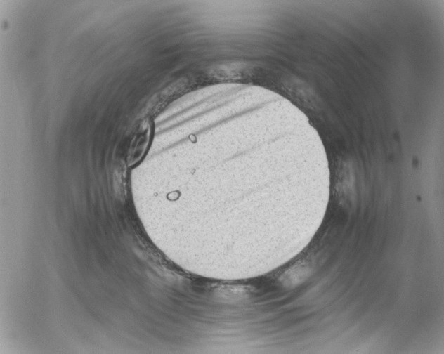 X0000054430332200508262354