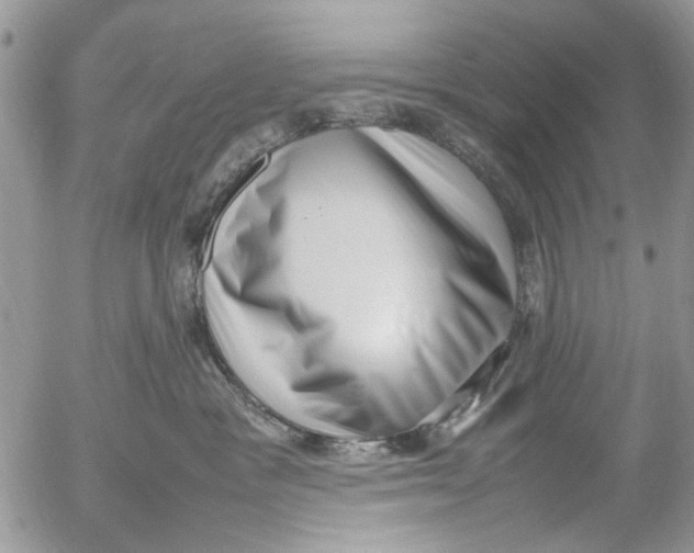 X0000054430333200508262354