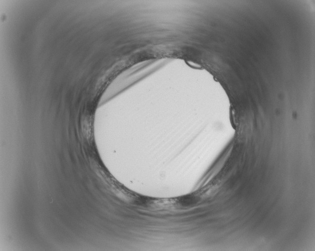 X0000054430335200508262354