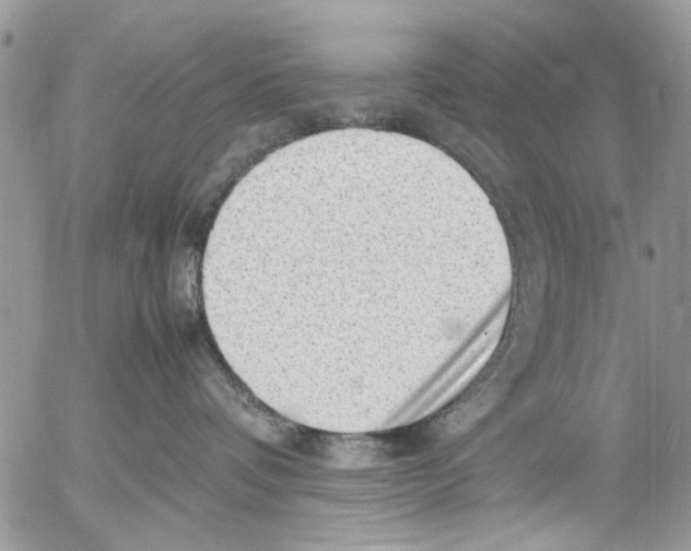 X0000054430336200508262354