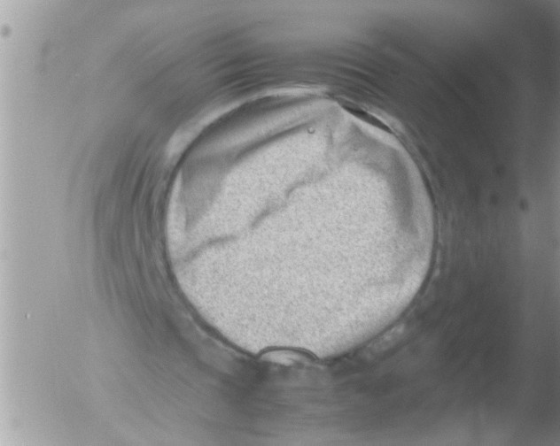 X0000054430337200508262353