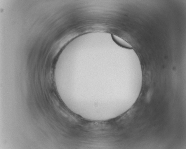 X0000054430338200508262353