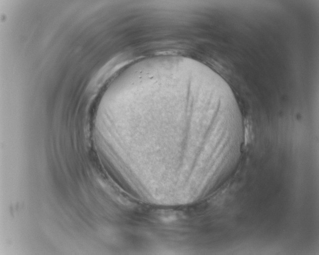 X0000054430339200508262353