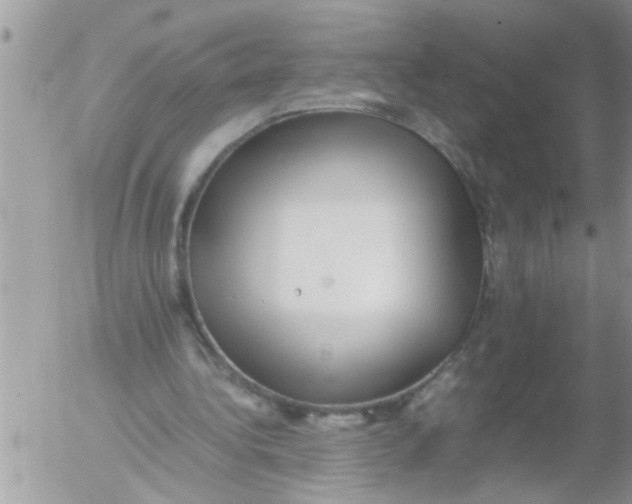 X0000054430340200508262353