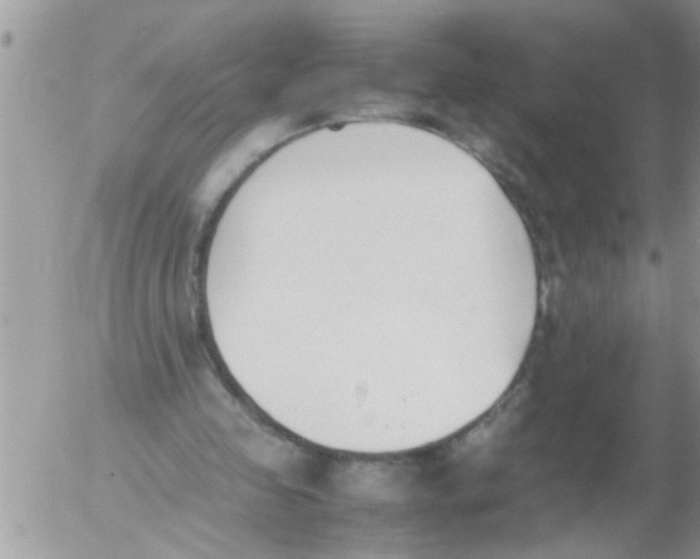 X0000054430341200508262353