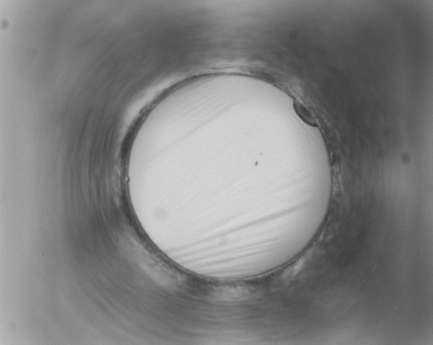 X0000054430342200508262353