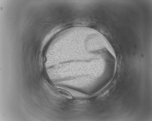 X0000054430343200508262353