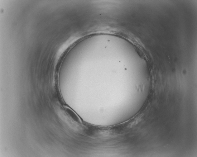 X0000054430344200508262353