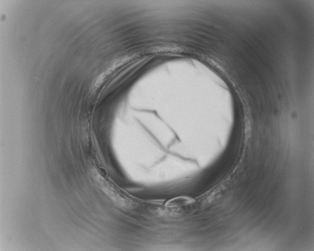 X0000054430345200508262353