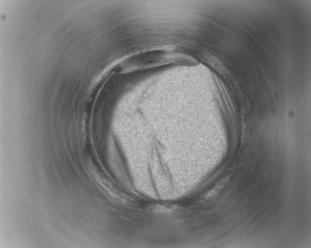 X0000054430346200508262353