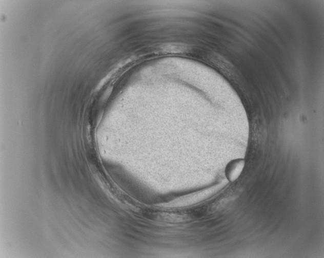 X0000054430347200508262353