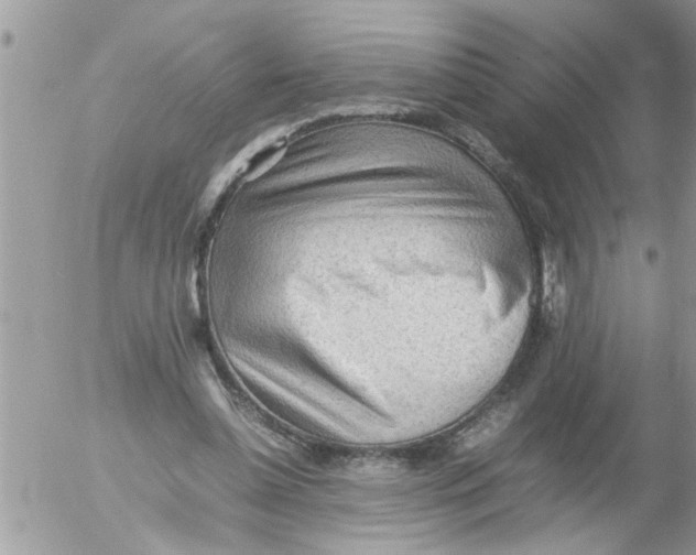 X0000054430348200508262353