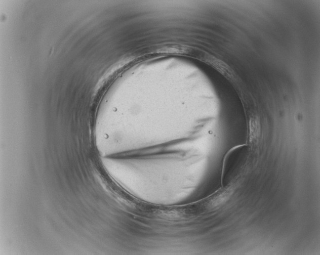 X0000054430349200508262353