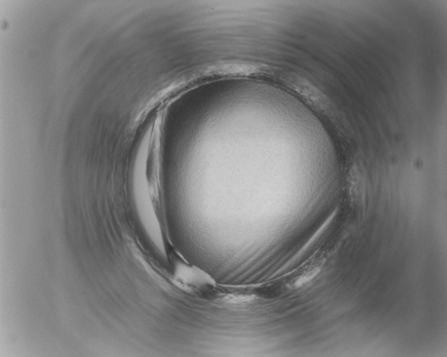 X0000054430352200508262353