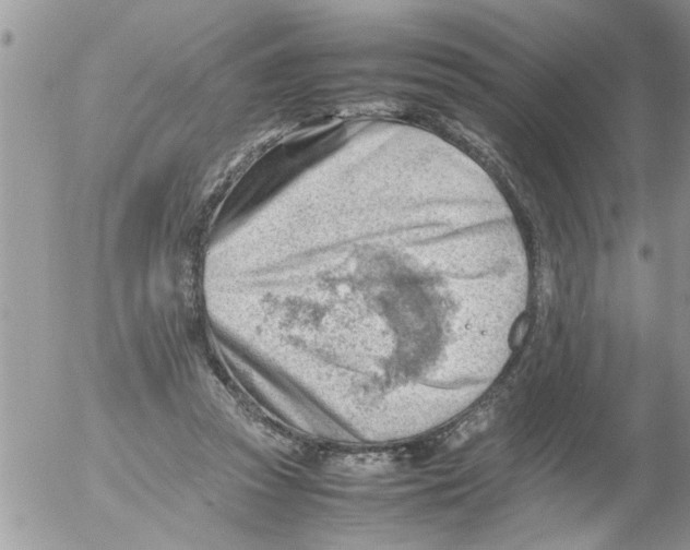 X0000054430353200508262353