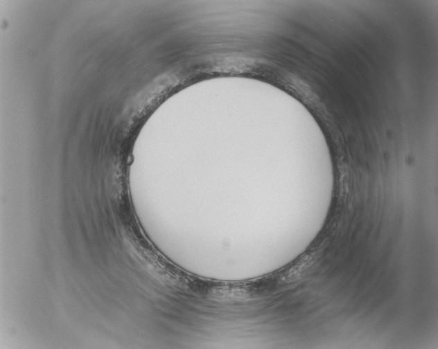 X0000054430354200508262353