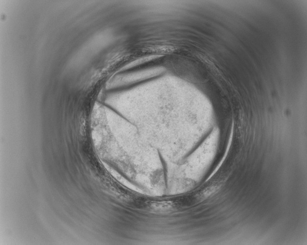 X0000054430355200508262353