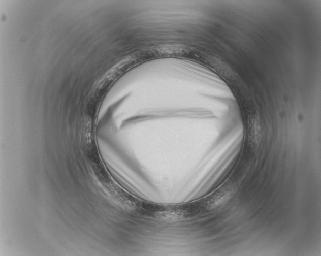 X0000054430356200508262353